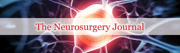 The Neurosurgery Journal