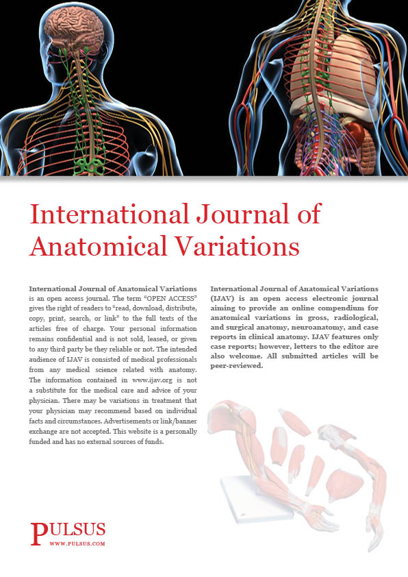 国际解剖学杂志